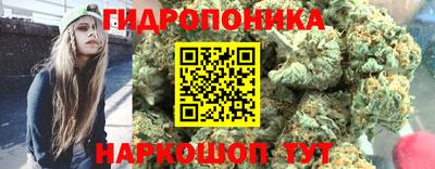 стафф Бузулук