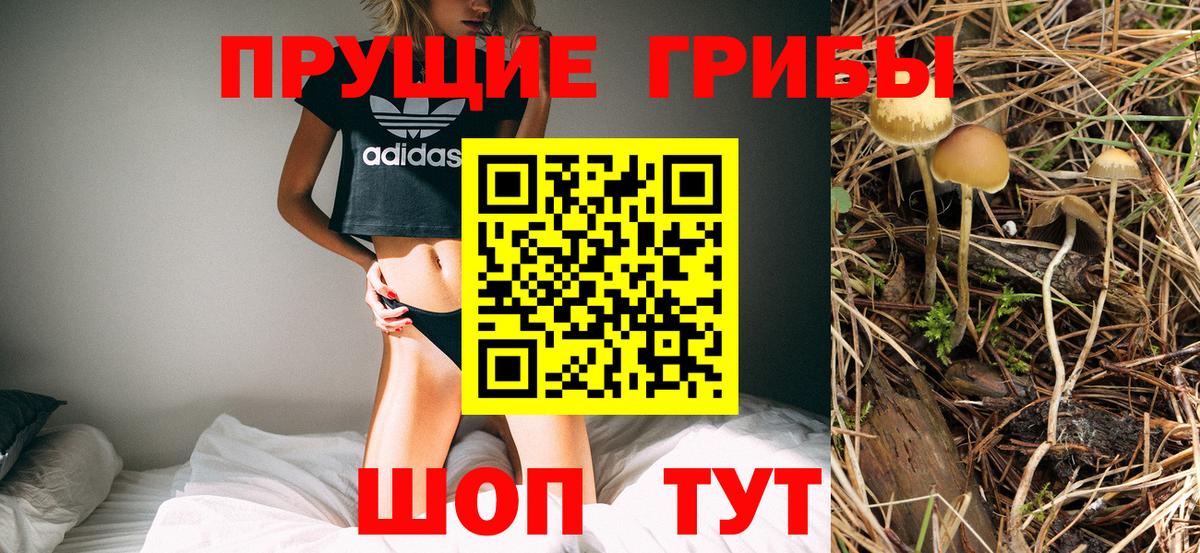 Хабаровск  Псилоцибиновые грибы Cubensis  Вход с VPN 